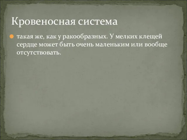 такая же, как у ракообразных. У мелких клещей сердце может