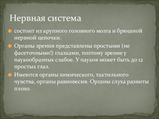 состоит из крупного головного мозга и брюшной нервной цепочки. Органы