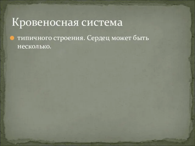 типичного строения. Сердец может быть несколько. Кровеносная система