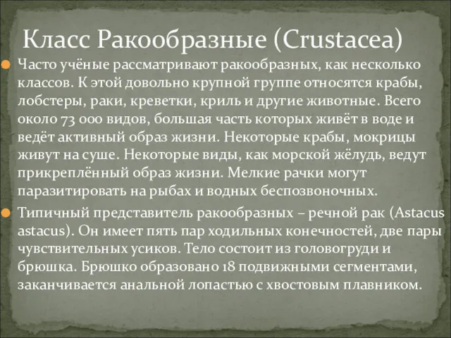 Часто учёные рассматривают ракообразных, как несколько классов. К этой довольно