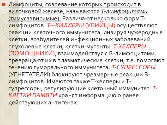 Лимфоциты, созревание которых происходит в вилочковой железе, называются Т-лимфоцитами (тимусзависимые). Различают несколько форм