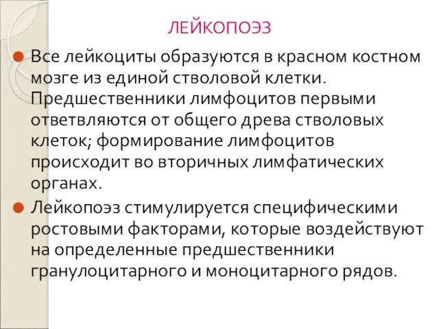 ЛЕЙКОПОЭЗ Все лейкоциты образуются в красном костном мозге из единой стволовой клетки. Предшественники