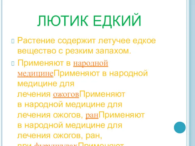 ЛЮТИК ЕДКИЙ Растение содержит летучее едкое вещество с резким запахом.