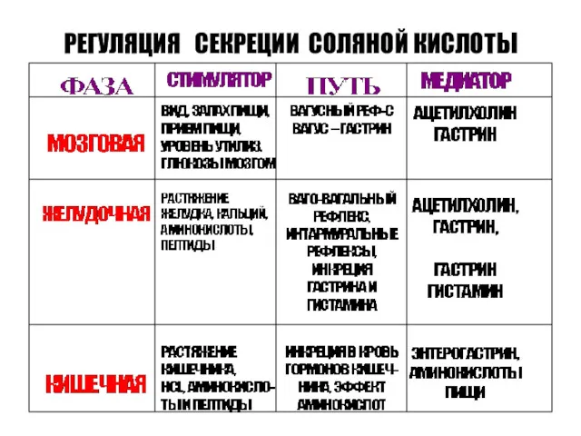 РЕГУЛЯЦИЯ СЕКРЕЦИИ СОЛЯНОЙ КИСЛОТЫ