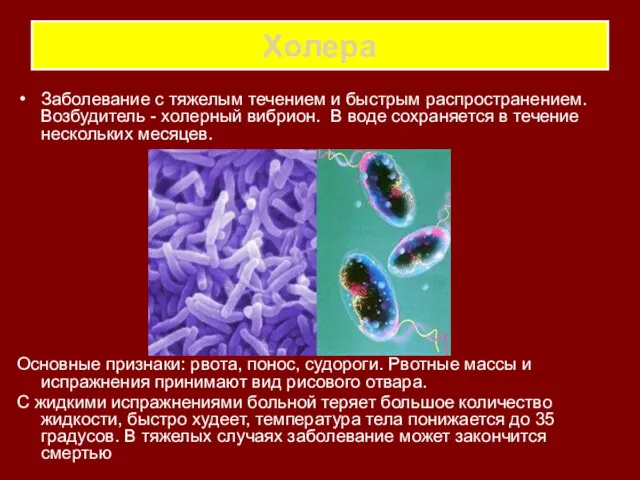 Холера Заболевание с тяжелым течением и быстрым распространением. Возбудитель -