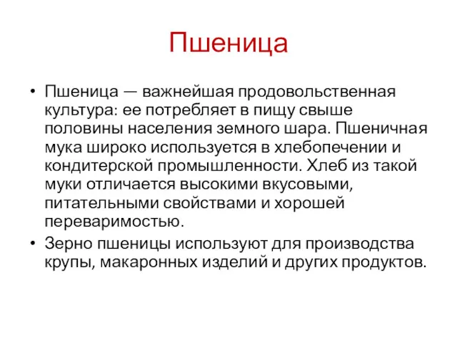 Пшеница Пшеница — важнейшая продовольственная культура: ее потребляет в пищу