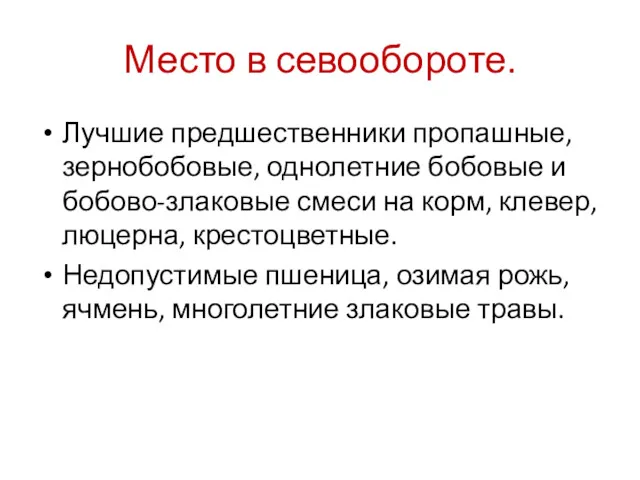 Место в севообороте. Лучшие предшественники пропашные, зернобобовые, однолетние бобовые и