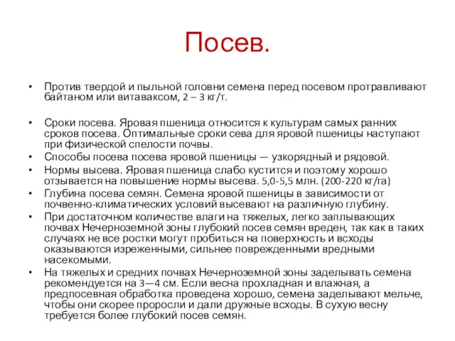 Посев. Против твердой и пыльной головни семена перед посевом протравливают