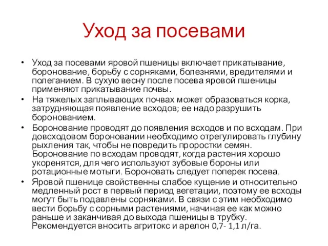 Уход за посевами Уход за посевами яровой пшеницы включает прикатывание,