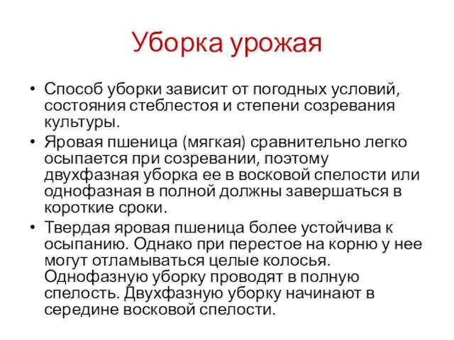 Уборка урожая Способ уборки зависит от погодных условий, состояния стеблестоя