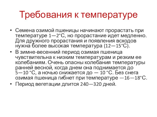 Требования к температуре Семена озимой пшеницы начинают прорастать при температуре