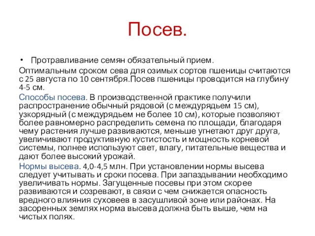 Посев. Протравливание семян обязательный прием. Оптимальным сроком сева для озимых