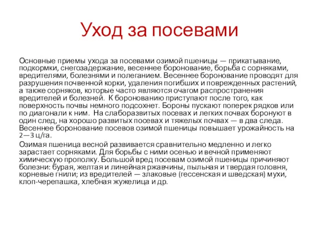 Уход за посевами Основные приемы ухода за посевами озимой пшеницы