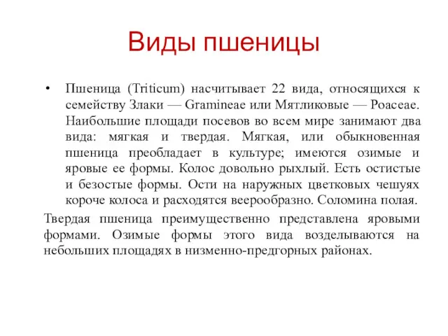 Виды пшеницы Пшеница (Triticum) насчитывает 22 вида, относящихся к семейству