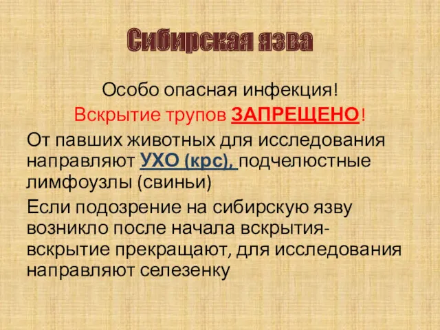 Сибирская язва Особо опасная инфекция! Вскрытие трупов ЗАПРЕЩЕНО! От павших