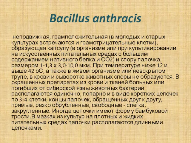 Bacillus anthracis неподвижная, грамположительная (в молодых и старых культурах встречаются