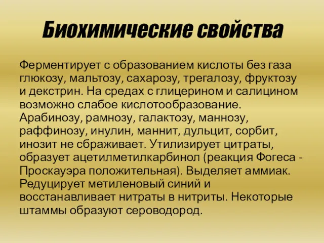 Биохимические свойства Ферментирует с образованием кислоты без газа глюкозу, мальтозу,