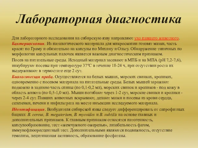 Лабораторная диагностика Для лабораторного исследования на сибирскую язву направляют ухо