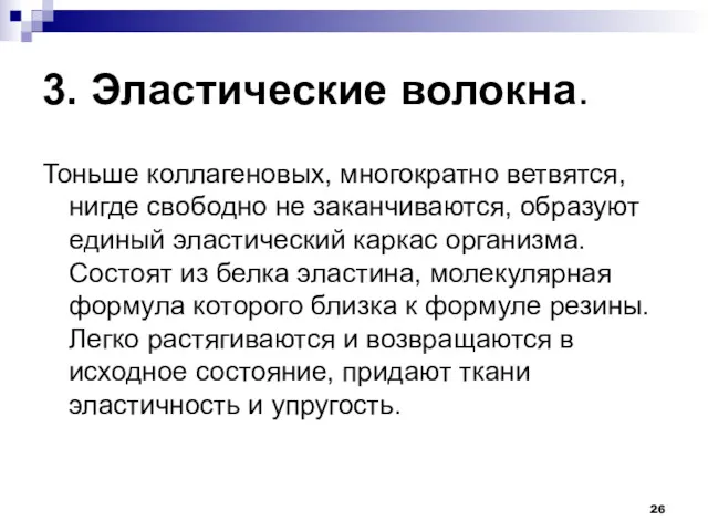 3. Эластические волокна. Тоньше коллагеновых, многократно ветвятся, нигде свободно не