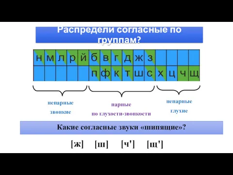 Распредели согласные по группам? непарные звонкие парные по глухости-звонкости непарные