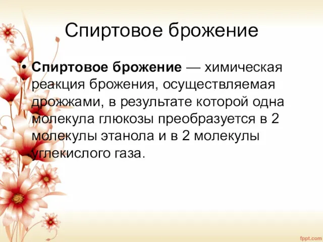 Спиртовое брожение Спиртовое брожение — химическая реакция брожения, осуществляемая дрожжами,