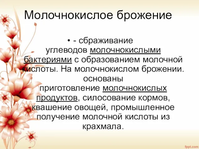 Молочнокислое брожение - сбраживание углеводов молочнокислыми бактериями с образованием молочной кислоты. На молочнокислом