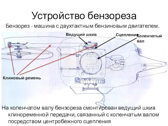 На коленчатом валу бензореза смонтирован ведущий шкив клиноременной передачи, связанный