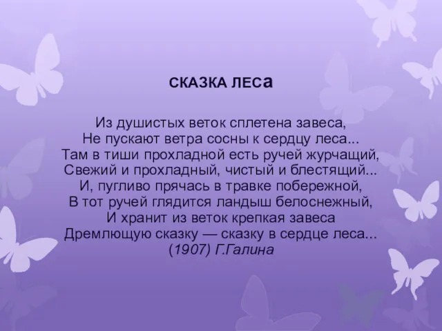 СКАЗКА ЛЕСа Из душистых веток сплетена завеса, Не пускают ветра сосны к сердцу