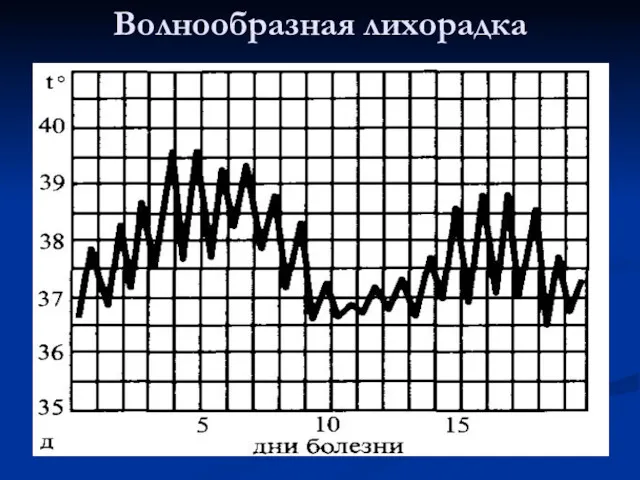 Волнообразная лихорадка