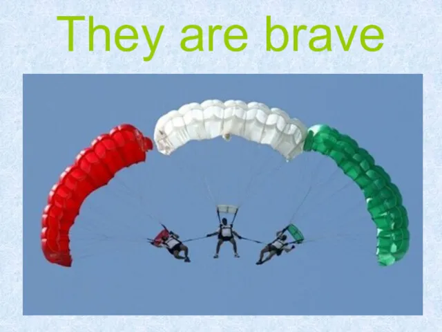 They are brave