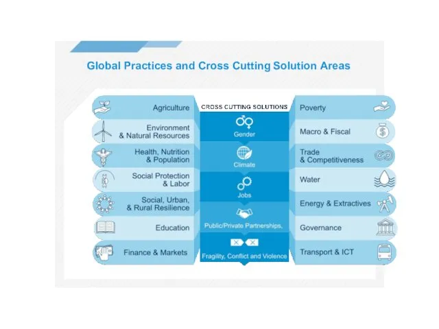 Global Practices and Cross Cutting Solution Areas