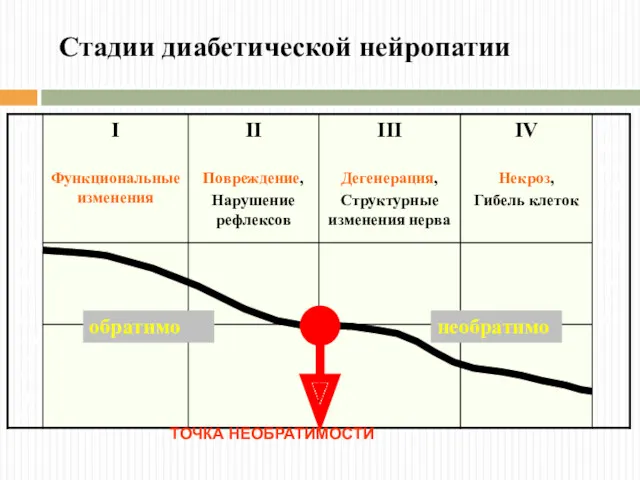 Стадии диабетической нейропатии ТОЧКА НЕОБРАТИМОСТИ обратимо необратимо