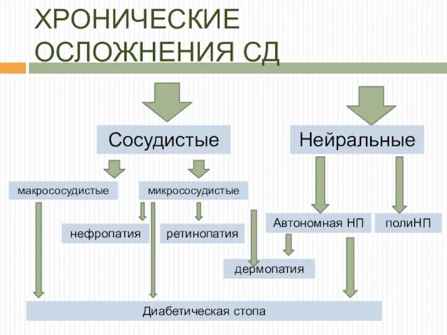 ХРОНИЧЕСКИЕ ОСЛОЖНЕНИЯ СД Сосудистые макрососудистые микрососудистые Нейральные нефропатия Автономная НП дермопатия полиНП Диабетическая стопа ретинопатия