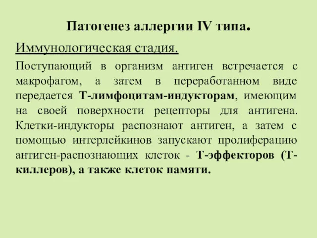 Патогенез аллергии IV типа. Иммунологическая стадия. Поступающий в организм антиген