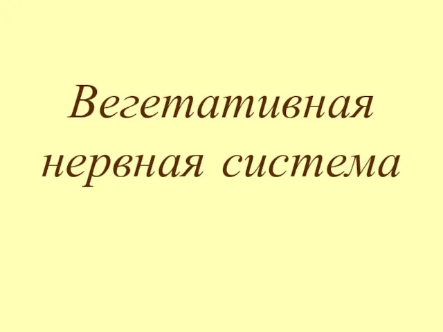 Вегетативная нервная система