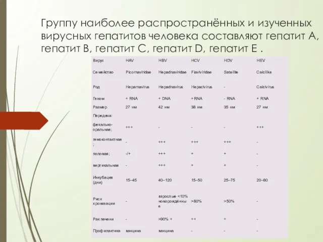 Группу наиболее распространённых и изученных вирусных гепатитов человека составляют гепатит