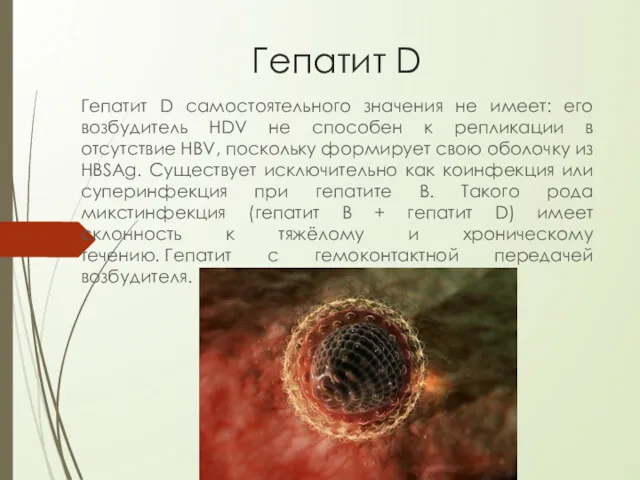 Гепатит D Гепатит D самостоятельного значения не имеет: его возбудитель