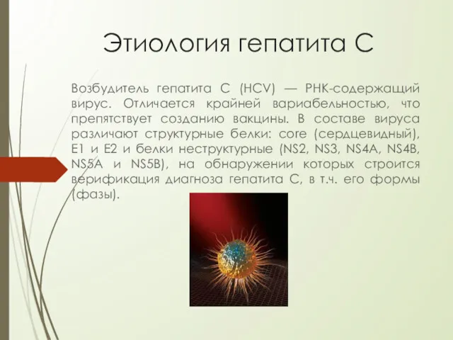 Этиология гепатита С Возбудитель гепатита C (HCV) — РНК-содержащий вирус.