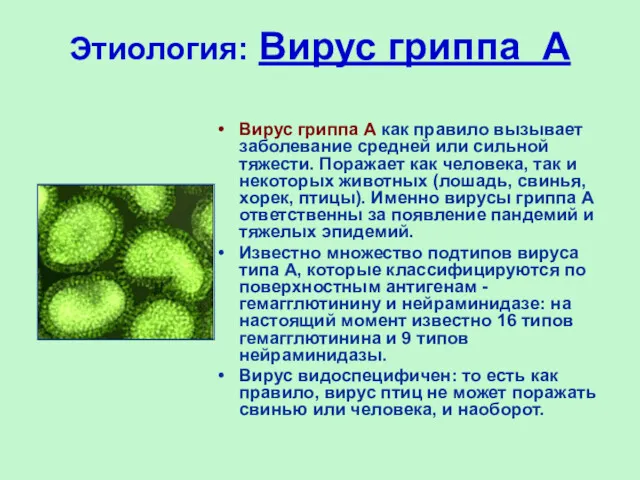 Этиология: Вирус гриппа А Вирус гриппа А как правило вызывает заболевание средней или
