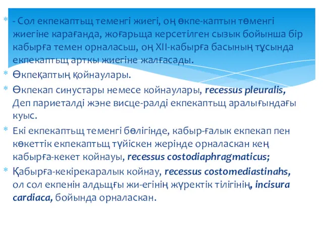 - Сол екпекаптьщ теменгі жиегі, оң өкпе-каптын төменгі жиегіне карағанда,