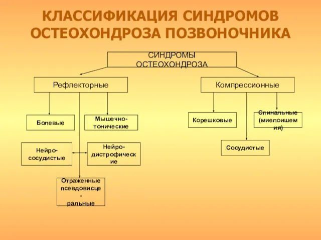 КЛАССИФИКАЦИЯ СИНДРОМОВ ОСТЕОХОНДРОЗА ПОЗВОНОЧНИКА СИНДРОМЫ ОСТЕОХОНДРОЗА Рефлекторные Компрессионные Болевые Мышечно-