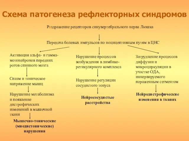 Схема патогенеза рефлекторных синдромов