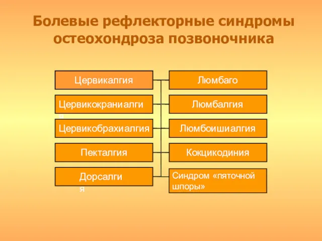 Болевые рефлекторные синдромы остеохондроза позвоночника Цервикалгия Люмбаго Цервикокраниалгия Люмбалгия Цервикобрахиалгия