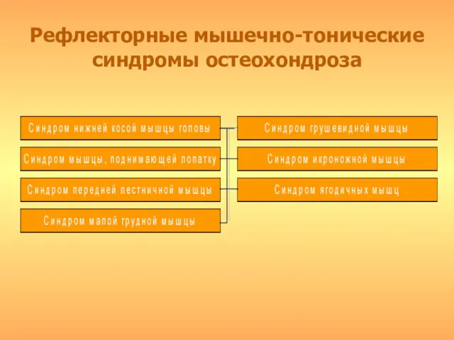 Рефлекторные мышечно-тонические синдромы остеохондроза