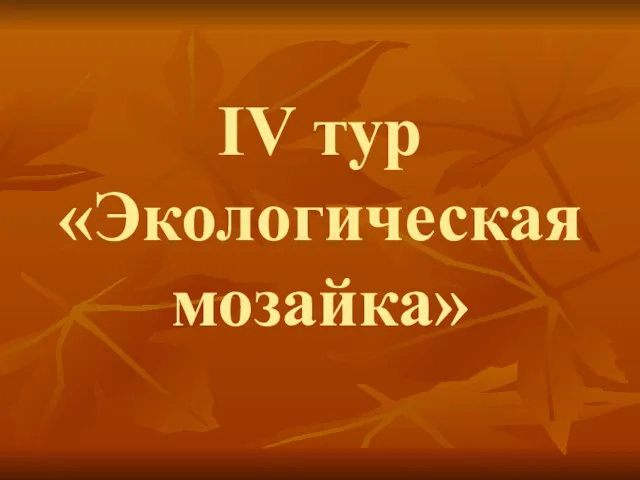 IV тур «Экологическая мозайка»