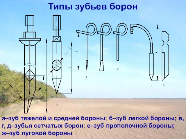 Типы зубьев борон а–зуб тяжелой и средней бороны; б–зуб легкой