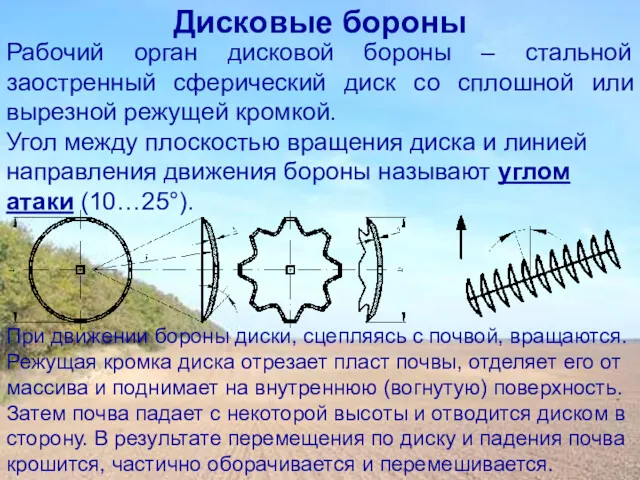 Дисковые бороны Рабочий орган дисковой бороны – стальной заостренный сферический