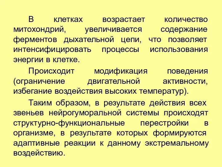 В клетках возрастает количество митохондрий, увеличивается содержание ферментов дыхательной цепи,