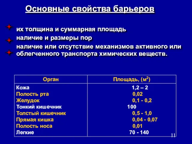 их толщина и суммарная площадь наличие и размеры пор наличие