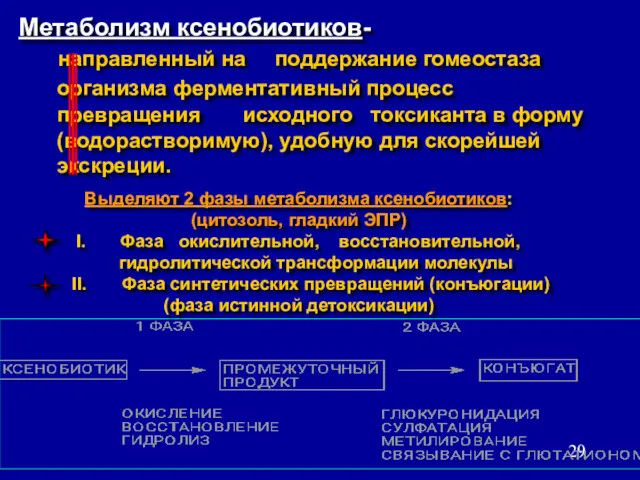 Метаболизм ксенобиотиков- направленный на поддержание гомеостаза организма ферментативный процесс превращения